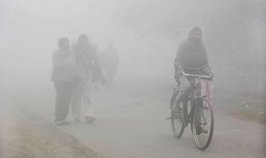 Northern India, already shivering with bone-chilling temperature, sees rainfall.