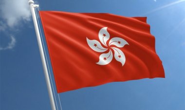 US, UK, Australia, Canada jointly condemn mass arrest of leaders in Hong Kong.