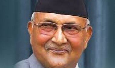 PM Oli removed from his party