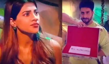 Bigg Boss 14: Nikki Tamboli gets 6 lakh offer, will the show leave before Finale with money?