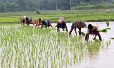 PM-Kisan Scheme: Due to this, lakhs of farmers did not get 6000 rupees