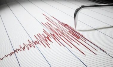 Earthquake in New Zealand: 8.1 magnitude earthquake, tsunami alert