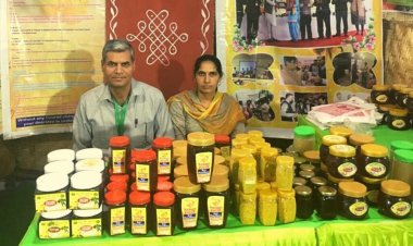 The teacher from Haryana started beekeeping with his wife; Earning 40 lakh rupees annually