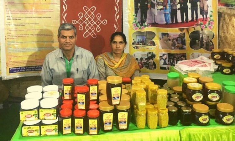 The teacher from Haryana started beekeeping with his wife; Earning 40 lakh rupees annually