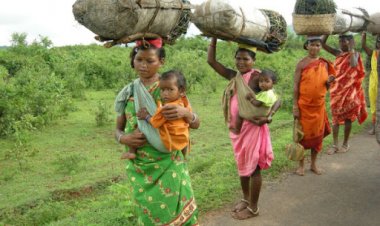 Odisha: Corona reaches tribals settled in forests, door-to-door survey started after cases of infection