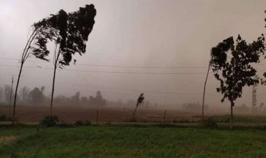 Weather Updates: Yellow alert in Himachal, rain in Delhi NCR, lightning warning in Madhya Pradesh