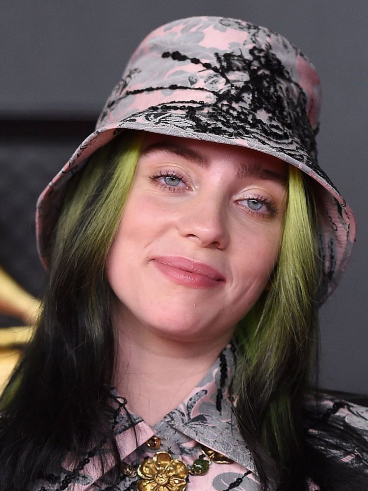 Horse Girl Billie Eilish May or May Not Own a Horse