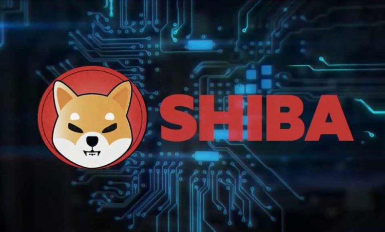 After the listing on Binance, Shiba Inu Coin prices jumped 70% on the first day, invest in this cryptocurrency