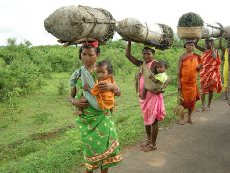 Odisha: Corona reaches tribals settled in forests, door-to-door survey started after cases of infection