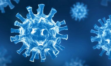 More than 41 thousand cases of corona infection came in the country in the last 24 hours, 541 patients died