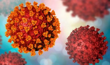 Variants of corona can attack the body through a new route, warn scientists