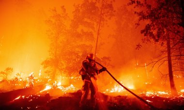California wildfires, thousands forced to leave their homes