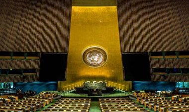 America agrees to expand UNSC, questions raised, will India become a permanent member of the Security Council