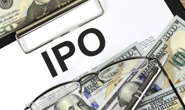 Nykaa IPO Opens Today: Should You Subscribe? 