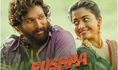 Pushpa - The Rise: Allu Arjun's film crossed 70 crores, these are South's top films in Hindi belt