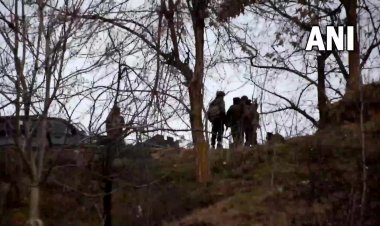 4 terrorists including Pakistani JeM commander Kamal killed in 3 separate encounters in Kashmir Valley, one caught alive