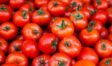 Tomatoes become more expensive than petrol, skyrocketing prices, know the prices of your city