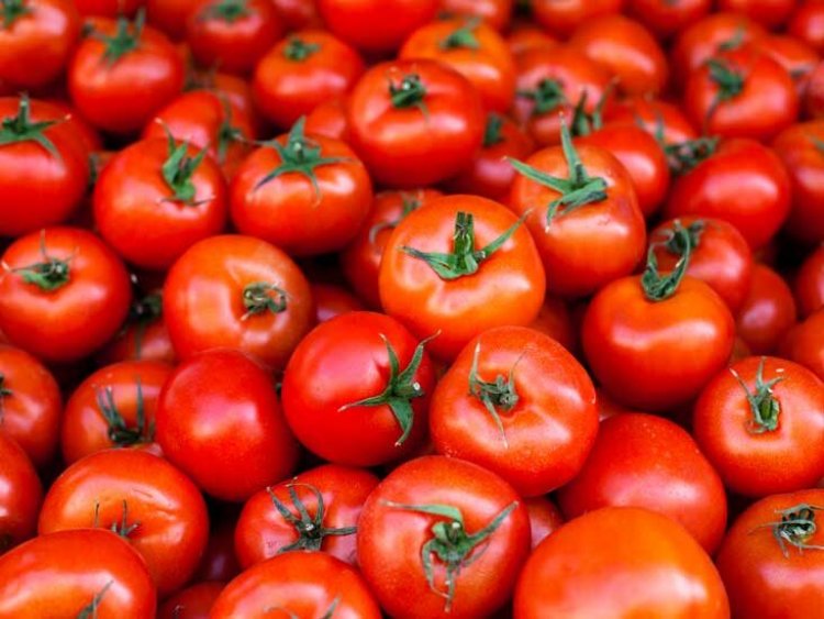 Tomatoes become more expensive than petrol, skyrocketing prices, know the prices of your city