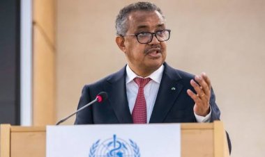 World outcry over monkeypox, 15000 cases reported so far, WHO declared global health emergency