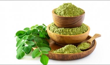 Moringa For Dandruff: Moringa powder is no less than nectar for hair