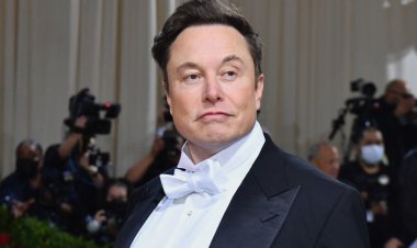 Elon Musk Tweet: Elon Musk got this action on Twitter, Ukrainian President Zelensky and other officials lashed out fiercely
