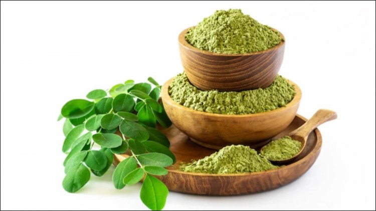 Moringa For Dandruff: Moringa powder is no less than nectar for hair