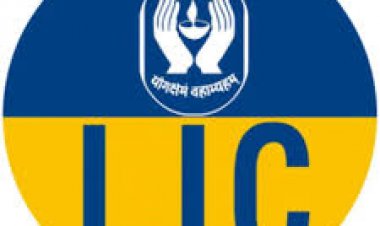 Fortune 500 List: LIC's entry in Fortune 500 list, Reliance Industries took a giant leap