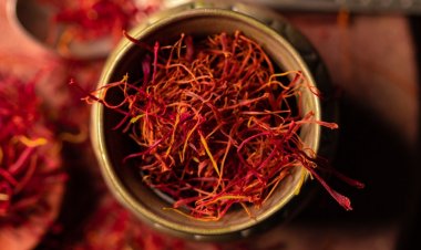 Saffron Benefits: Saffron is especially beneficial for women, you get these 6 benefits