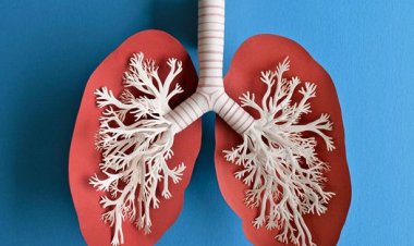 Lungs Cancer: If cough persists then be alert, it could be cancer