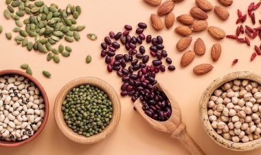 Plant Based Meat: What is 'Vegetarian Meat', How Good for Your Health? Know the answers to all the questions