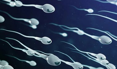 Infertility in Male: Men must eat this food, sperm count will increase!