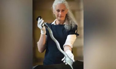 British: Indian cultural artifacts stolen during British rule were returned by Britain