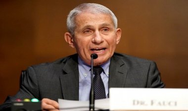 Chief Medical Advisor Of Biden: White House Chief Medical Adviser Anthony Fauci to step down in December
