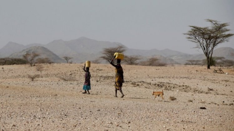 Drought forecast for the fifth consecutive year in large areas of Africa, WMO issued a stern warning