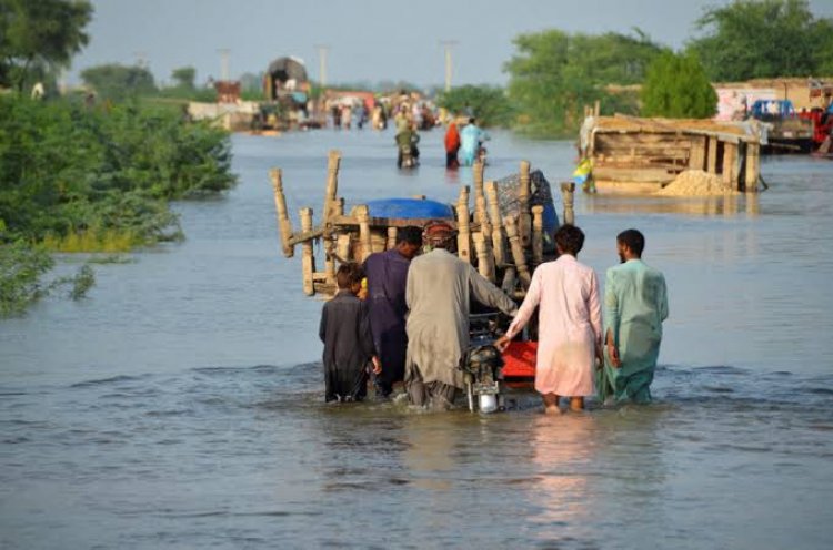 Pakistan Floods: Troubled by floods, Pakistan will import vegetables from India; PM Modi expressed grief over the devastation