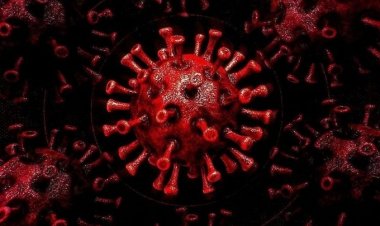 Coronavirus: WHO warns corona virus can attack again in cold weather!