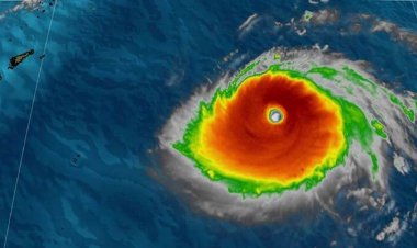 Super Typhoon Hinnamnor: Due to typhoon heavy rain and strong winds, flights and ferry services were stopped in many countries