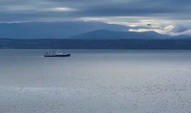 US: 'Float plane crash' in Puget Sound near Whidbey Island, one dead - many missing