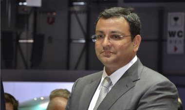 Cyrus's Mercedes forensic report reveals the accident was caused by poor design of the bridge