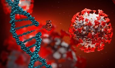 Corona Virus: A person infected with COVID 19 for years committed suicide, WHO has already warned