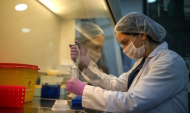 Indian scientist developed antiviral therapy to stop the spread of covid, named TIP