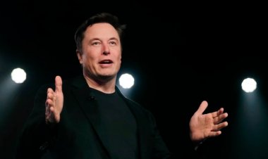 Memorable pictures of Elon Musk auctioned, buyers bid for $ 1,65,000