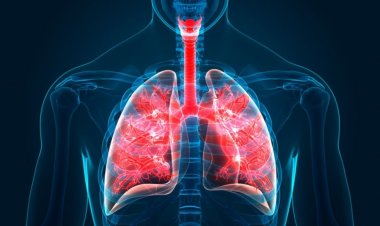 Lungs: Follow these easy tips from today to keep your lungs healthy in winter