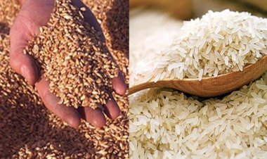 India's strong stand in WTO, defended the decision to ban wheat and rice exports