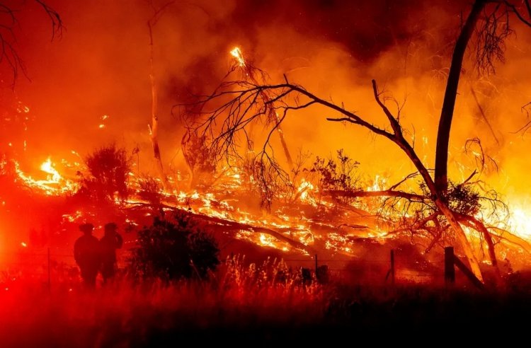 Wildfire in California: Massive fire in California wildfires, thousands of people flee; many injured