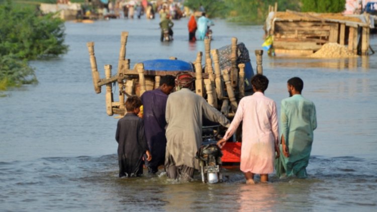 Pakistan Floods: Along with the floods in Pakistan, now waterborne diseases have also increased the government's concern, Sindh is the most affected