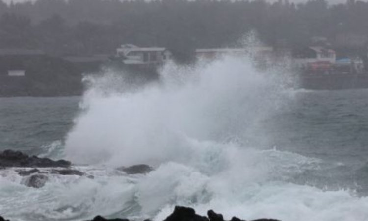 Hinnamnor Typhoon: The devastating storm Hinnamnor knocked South Korea, forcing thousands of people to flee