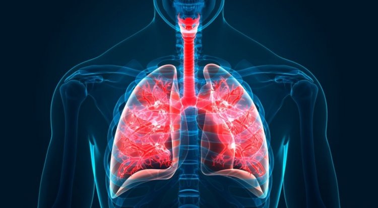 Lungs: Follow these easy tips from today to keep your lungs healthy in winter