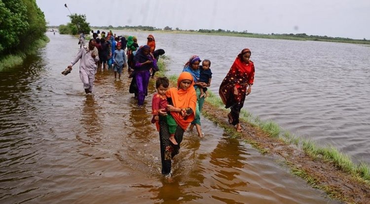 Flood havoc continues in Pakistan, dengue and malaria spreading in many area