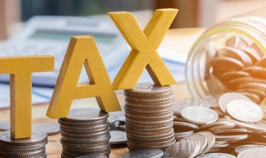 If you want to save income tax, then invest in these 5 schemes, you will get many benefits with returns